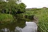 The River Blackwater in Bocking Blackwater