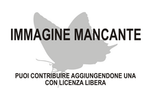 Immagine di Terricula cnephaeana mancante