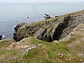 Plomodiern : falaises entre l'anse de Ty Mark et la pointe de Talagrip (détail).