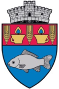 Wappen von Șăulia