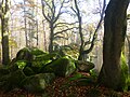 Gipfelbereich mit moosbewachsenen Felsen