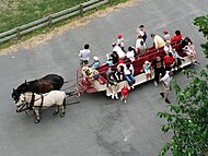 Transporte de turistas (remmalag)