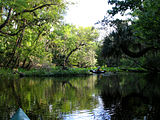 Wekiwa Run - Wekiwa Springs State Park