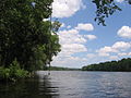 Alabama River in Dallas County looking upstream towards Selma.