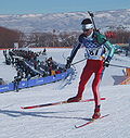 Vignette pour Biathlon aux Jeux olympiques de 2002