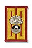 Insignia of the Grenadiers' regiment