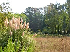 Parco della Cellulosa.