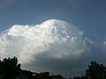 Pileus 27. Juli 2005 19.38 Uhr