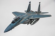 From 2029, fifty F-15IAs, based on the USAF's new F-15EX Eagle II, will replace the aging F-15A/B/C/D Baz on Tel Nof[14]