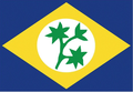 Bandeira de Feira Nova