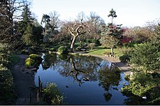 Pond in sunken garden.