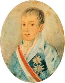 Painting showing the head and shoulders of a boy wearing a high collar and a coat adorned with medals and a striped sash of office