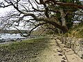 Le sentier littoral entre Porz Guen et Porz Garo.