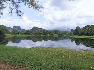 Taman Herba, Kampung Kepayang