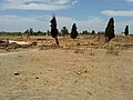 View of the Roman Forum and Basilica