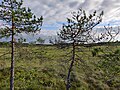 Image 17The Linnaistensuo Mire, a nature reserve swamp in Lahti, Finland. (from Swamp)