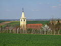 Das Dorf hinter einem Weinberg