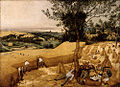 De Korenoogst, een van zes panelen van de cyclus De Twaalf Maanden die Pieter Bruegel de Oude in 1565 schilderde