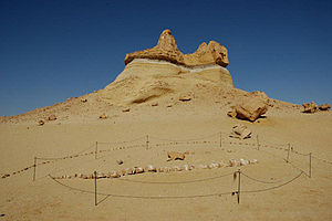 Whale skeleton in Wadi El Hitan