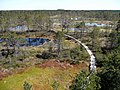 Image 12Viru Bog in Lahemaa National Park, Estonia, which is rich in raised bogs (from Bog)