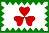 Flag of Kopřivná