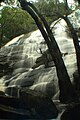 Cascada de Kiliyur prop de Yercaud