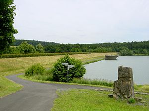 Antrifttalsperre mit Staudamm, Stausee und Kelchüberfall