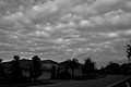 Stratocumulus lenticularis