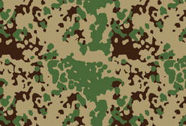 Հնդկական Flecktarn