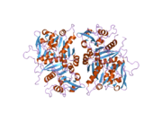 2d0j: Kristalna struktura ljudske GlcAT-S Apo forme