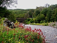 Río Almanza (Argentinien)