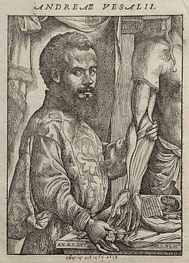 Andreas Vesalius