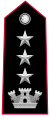 Distintivo di grado per controspallina di colonnello dell'Arma dei carabinieri, massimo grado per ufficiale del ruolo speciale.