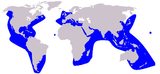 Aire de répartition du Dauphin de Risso