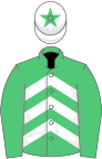 EMERALD GREEN and WHITE CHEVRONS, emerald green sleeves, white cap, emerald green star