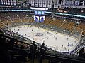 NHL - Toronto Maple Leafs