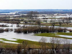 Näkymä Narew Góra Strękowassa Puolassa