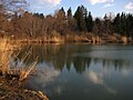 Bobovška jezera, jezero Čukova jama