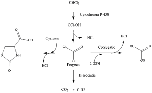 Metabolisme van fosgeen en precursors.