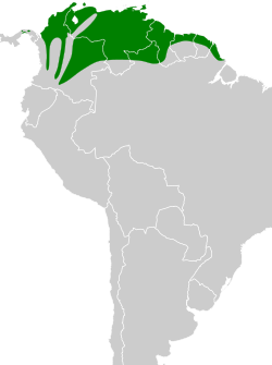 Distribución geográfica de la viudita pía.