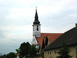 The Orthodox Church