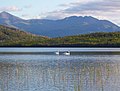 Vignette pour Refuge faunique national de Kenai