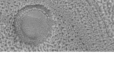 Holes and hollows on crater floor, as seen by HiRISE under HiWIsh program