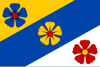 Bandeira de Plavsko