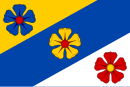 Drapeau de Plavsko