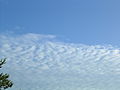 Stratocumulus undulatus]]