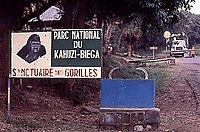 Nationalpark Kahuzi-Biéga