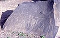 Image 8Rock art in the Sahara Desert (from Mauritania)