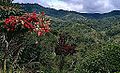 Landschaft bei Bukittinggi