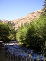 La biforcazione Sud del fiume Walla Walla presso Harris Park, 13 miglia (21 km) a monte di Milton-Freewater, Oregon